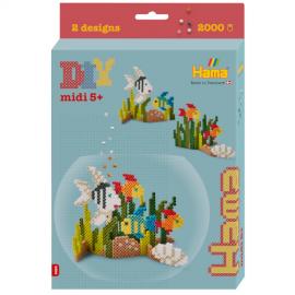 Confezione Regalo - Acquario