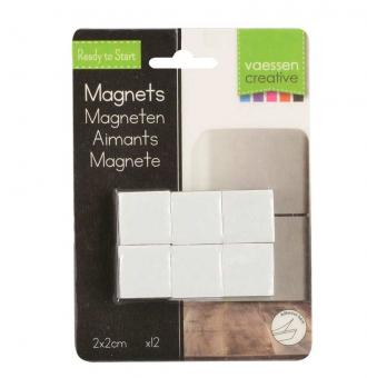 Magneti quadrati autoadesivi 12 pezzi